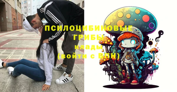 эйфоретик Строитель