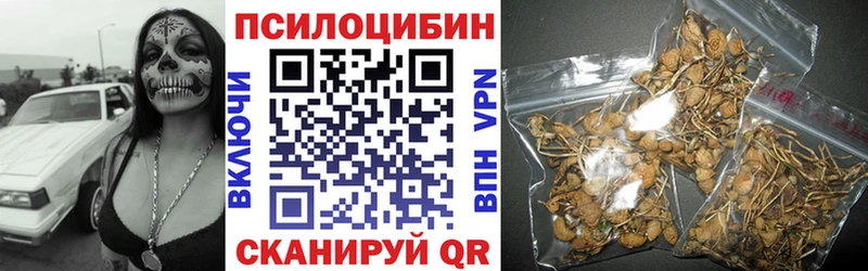 Псилоцибиновые грибы мицелий Купить закладки Зерноград