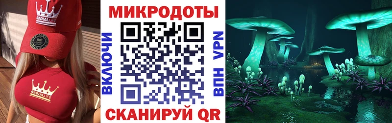 Псилоцибиновые грибы Psilocybe Зерноград